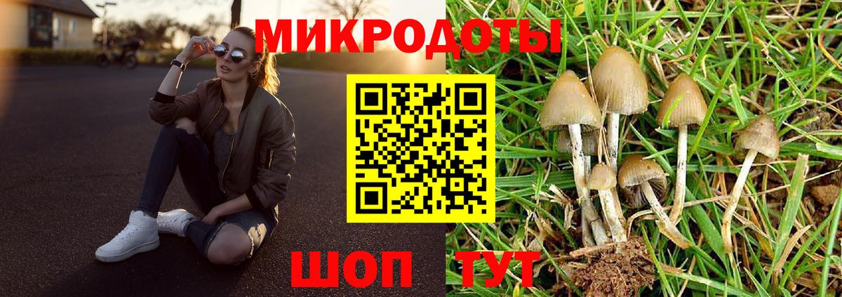 Псилоцибиновые грибы Psilocybine cubensis Курчалой