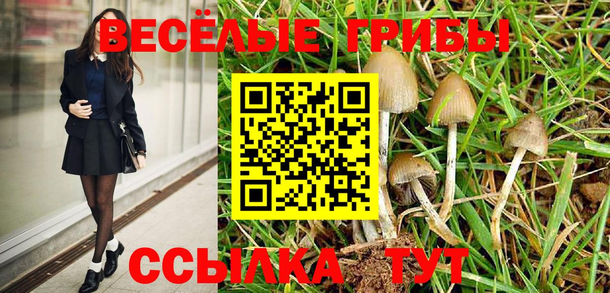 Псилоцибиновые грибы MAGIC MUSHROOMS  Галлюциногенные грибы Psilocybe  Вход с VPN  Курчалой 