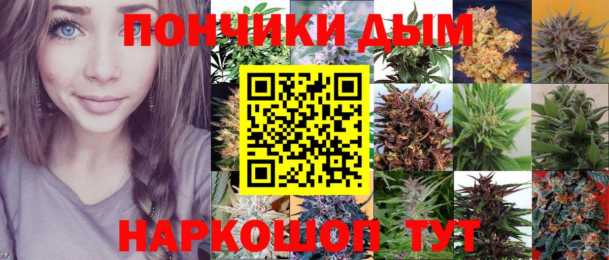 Бошки Шишки MAZAR  Вход с VPN  Конопля план  Курчалой 