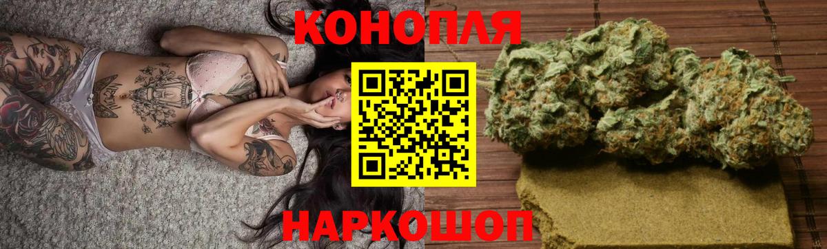 Бошки марихуана Amnesia Курчалой